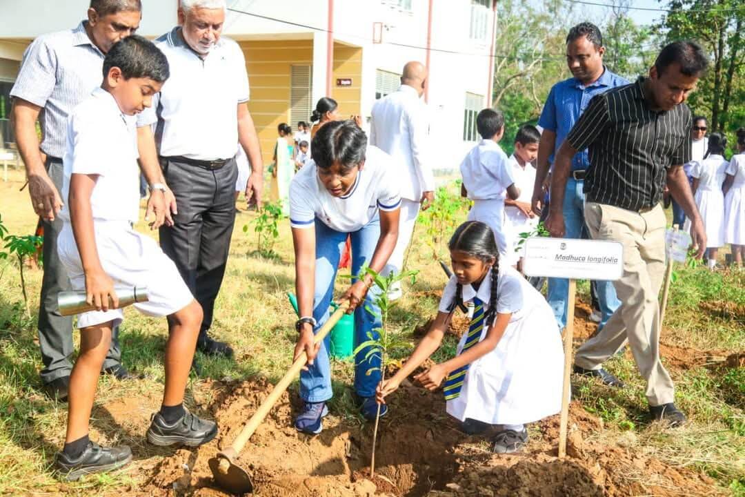 Tree Planting Polonnaruwa