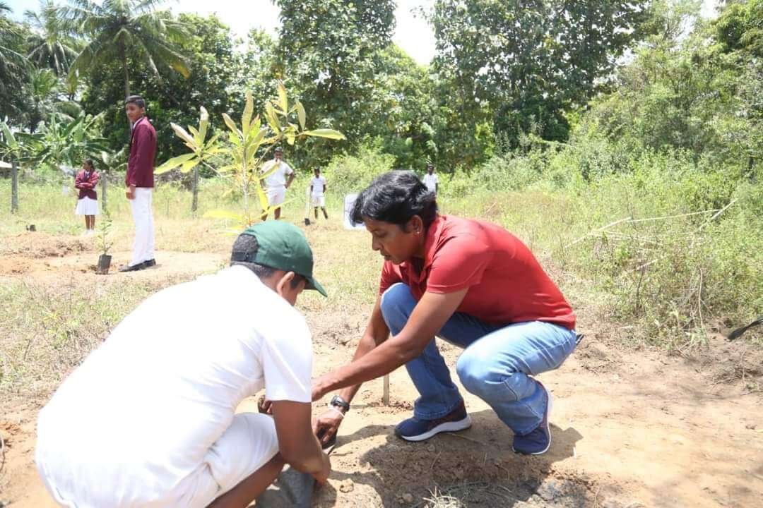 Tree Planting Polonnaruwa