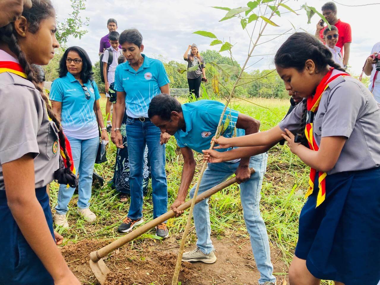 Tree Planting Dambulla