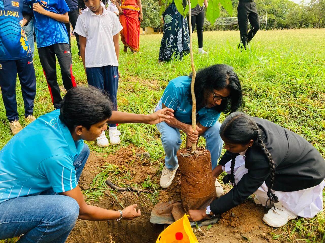 Tree Planting Dambulla