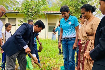 Tree Planting Dambulla